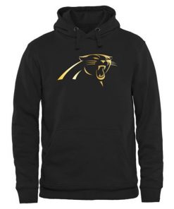Men's Carolina Panthers Pro Line Black Gold Collection Pullover Hoodie