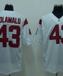 Trojans #43 Troy Polamalu White Stitched NCAA Jersey