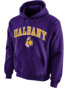 Albany Great Danes Midsize Arch Pullover Hoodie Purple