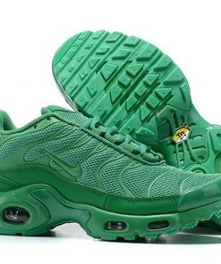 Women's Running weapon Air Max Plus CI5780-100 Shoes 004
