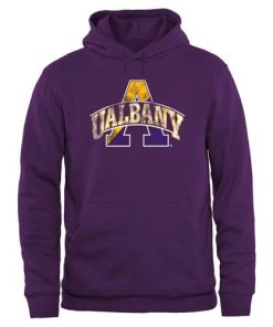 Albany Great Danes Big & Tall Classic Primary Pullover Hoodie Purple