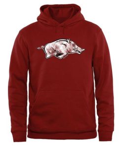 Arkansas Razorbacks Big & Tall Classic Primary Pullover Hoodie Cardinal