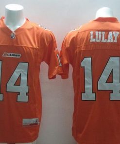 Lions #14 Travis Lulay Orange Stitched CFL Jersey