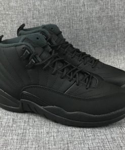 Men's Running Weapon Air Jordan 12  Shoes 023