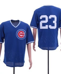 Cubs 23 Ryne Sandberg Blue Mesh BP Jersey